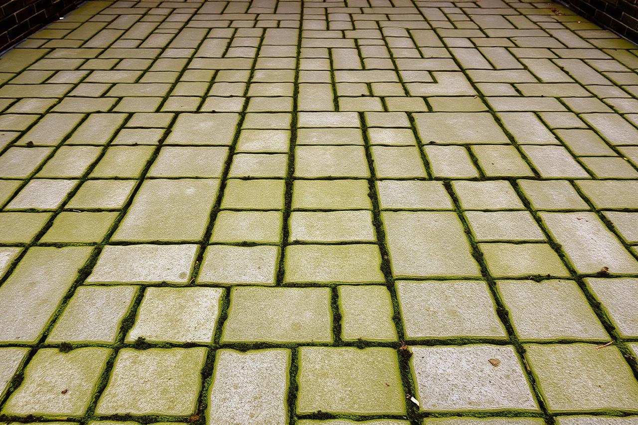 Einfahrt vor der Pflasterreinigung mit Grünbelag